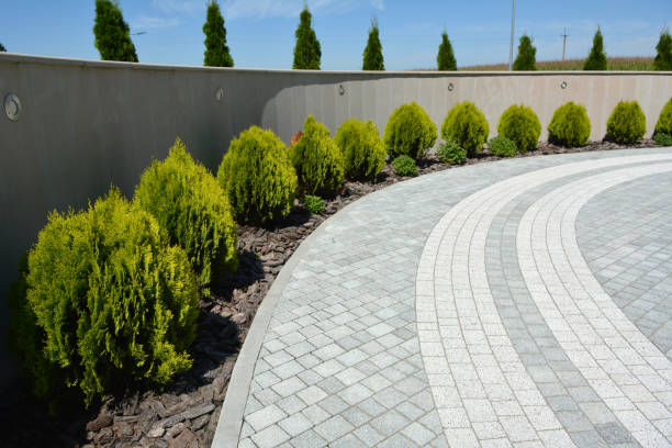 Best Affordable Driveway Pavers  in Nuevo, CA
