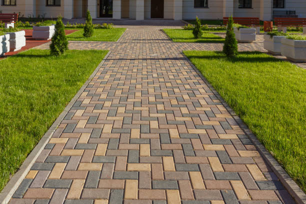Best Driveway Paving Contractor  in Nuevo, CA